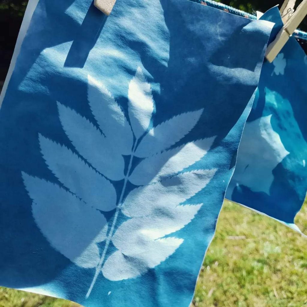 Bloomin’ Marvellous